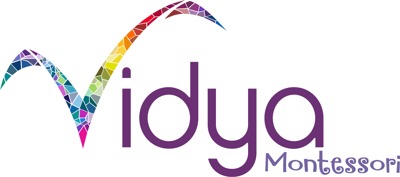 Vidya Montessori